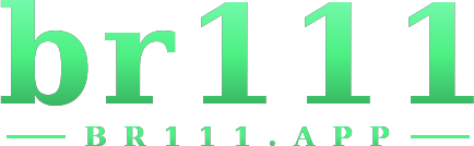 br111 logo